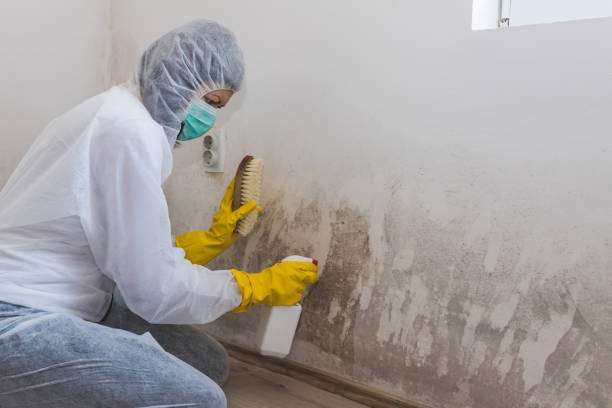 Best Forensic Mold Investigation  in Lander, WY