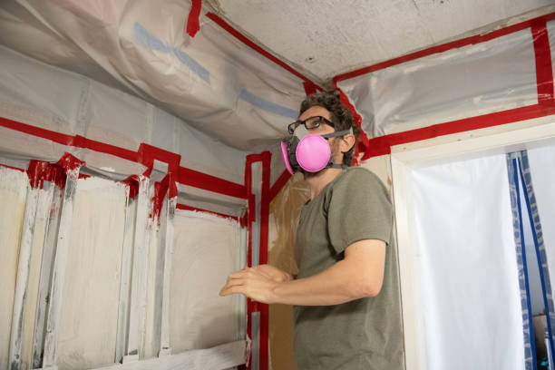 Best Asbestos and Lead Testing During Mold Inspection  in Lander, WY
