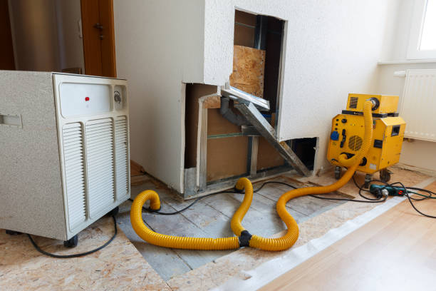 Best Biohazard Mold Removal  in Lander, WY