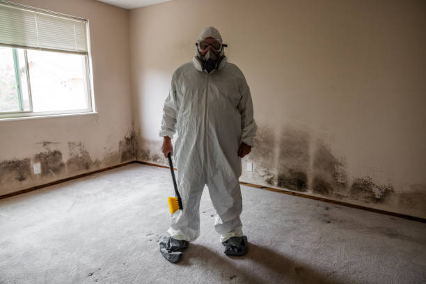 Best Mold Removal for HVAC Installations  in Lander, WY